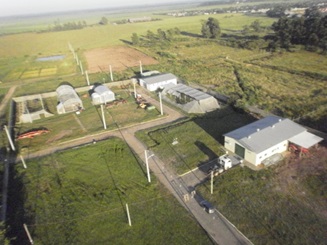Vista galpões e estufas