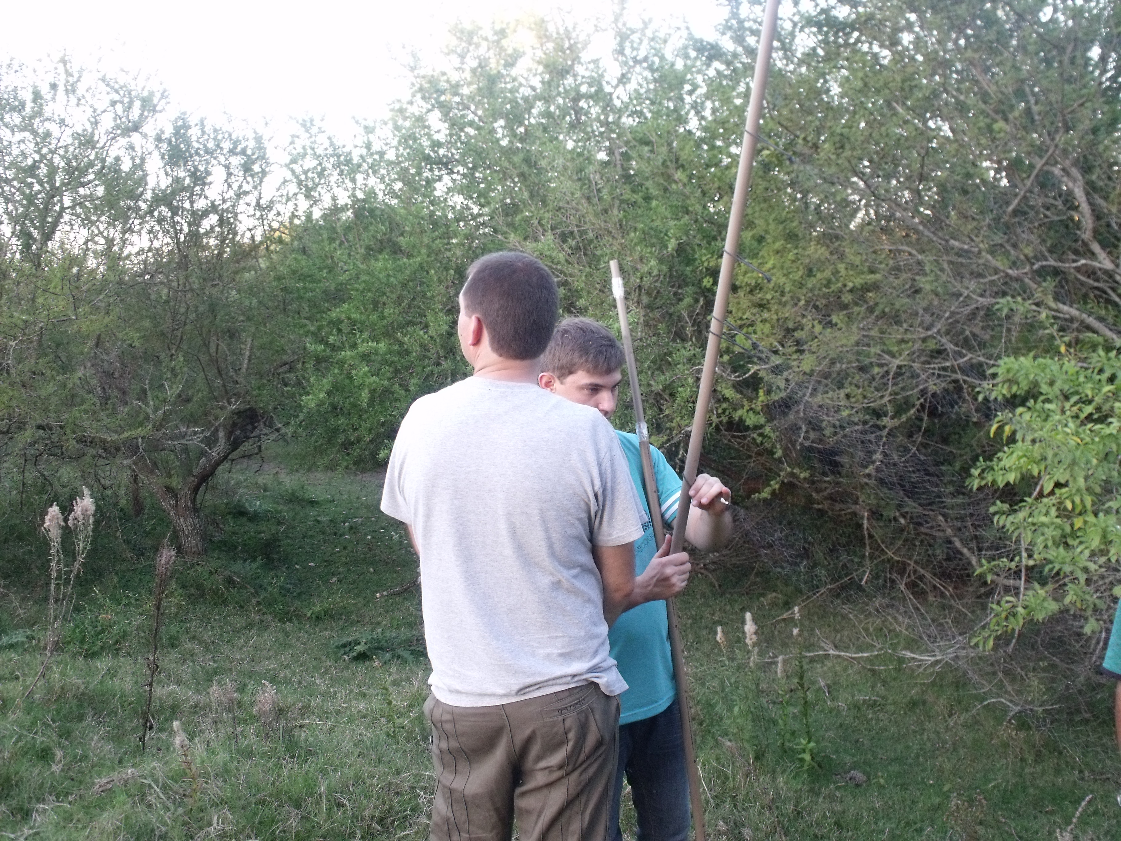 Pesquisadores buscam identificar espécies de aves habitantes do pampa.