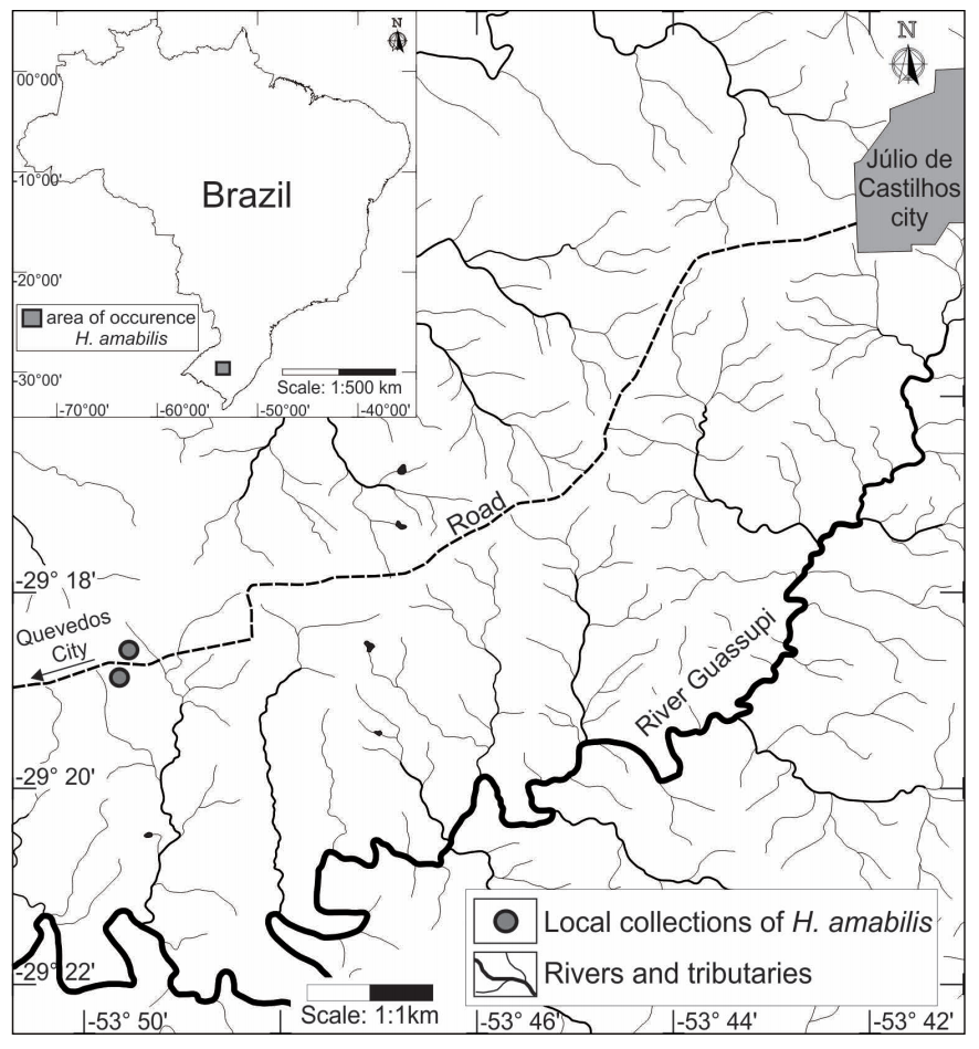 mapa localização herbertia